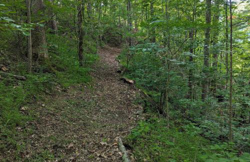 Hot Tub and River Views Doolittle Mountain Cabin - Foto 29