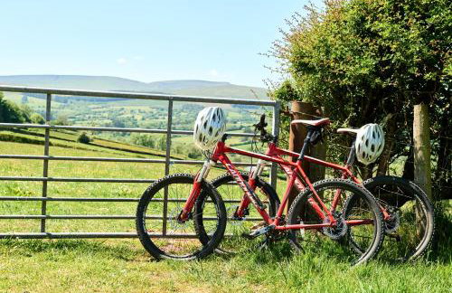 Bedlwyncoch Farmhouse - Foto 21