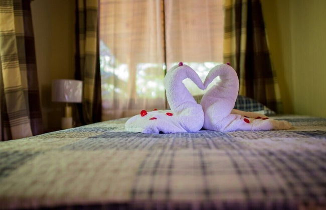 Pura Natura Lodge Arroyo - Foto 11