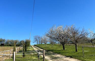 Le Merlat Gite - Foto 74