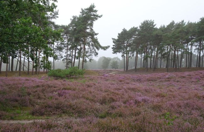 Lodge in Schaijk Near Green Holiday Park - Photo 37