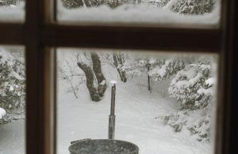 Artist's House - Foto 1