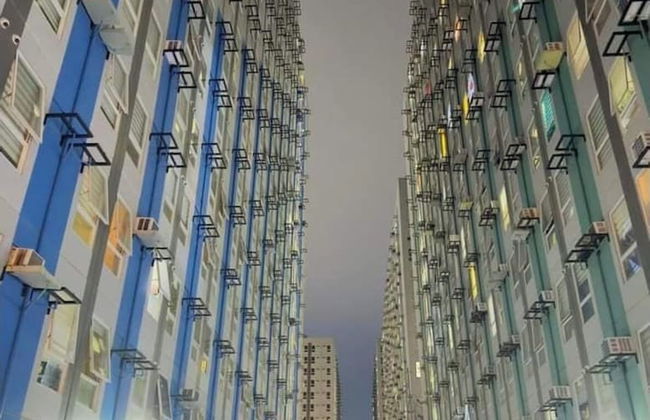 Pandora's Nest - Foto 53