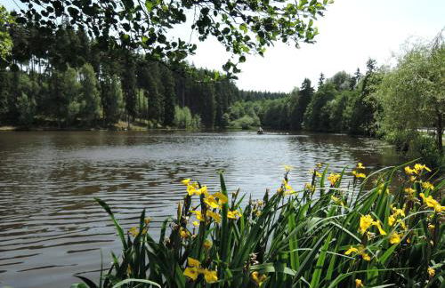 ****FH Blauvogel 60 Harz - Foto 35