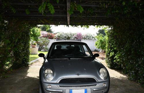 Villa Ciracì - 50 meters from the sea - Photo 3