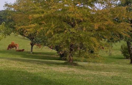 Maison à Hautefort avec clim, vélos gratuits, animaux admis - FR-1-616-164 - Foto 5