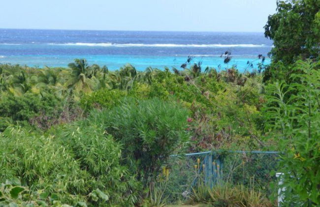 Milly's Inn - Foto 44