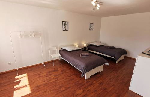 FR14 - Schöne 2-Zimmer-Wohnung mit Balkon in Heusenstamm - Foto 3