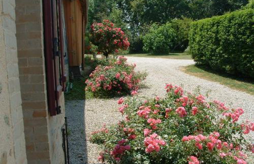 Gîte rénové en campagne, 3 ch., terrain 5000m², proche randonnées et Le Mans ! - Foto 7