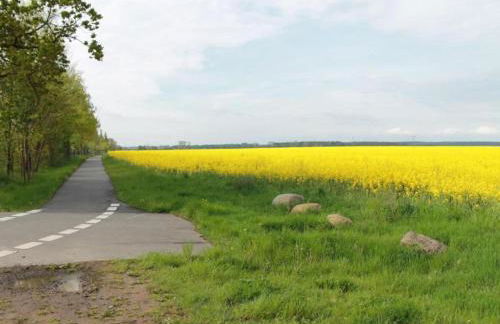 Idyllic Holiday Home in Damshagen with Terrace - Foto 40
