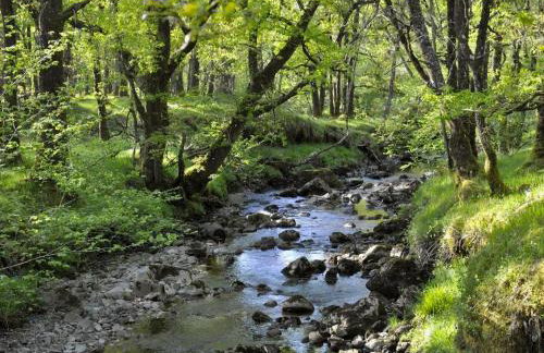 Stronafian House - Foto 20