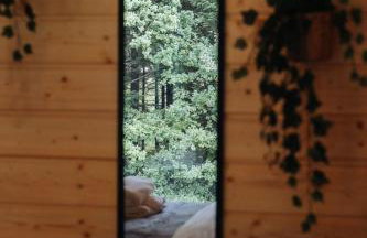 Honey House Wierchy- prywatna strefa SPA - Foto 66