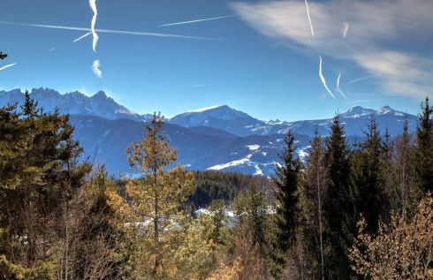 SchartnerAlm - Foto 46