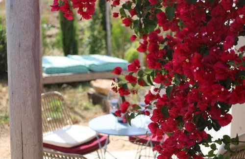 Vale D Sancho Eco Turismo - Foto 58