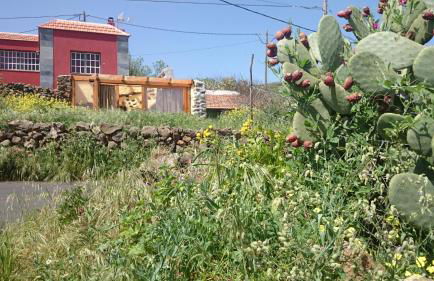 Casa Elvira - Foto 14