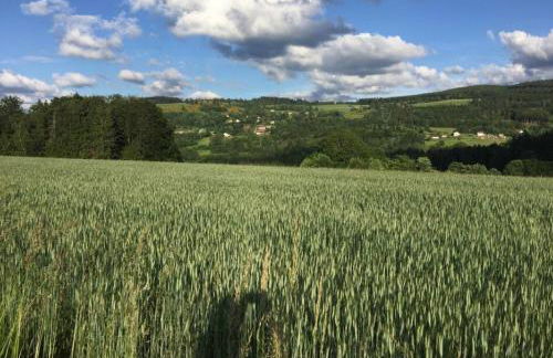 LA MAISON D'ULYSSE spa et détente - Foto 41