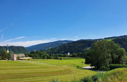 Auszeit am Fluss - Donau - Foto 4