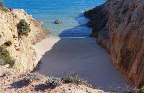 DomuNosta Pinus Village - Foto 37