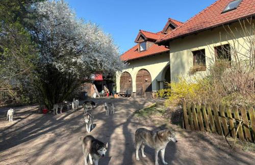 Agroturystyka Traperska Osada - Foto 16