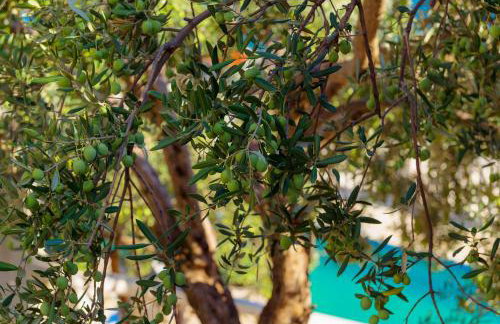 VILLA IRENA - Longevity Retreat - Foto 68