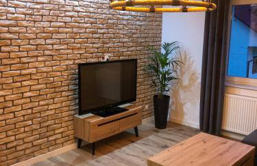 Apartament całoroczny Bieszczadzka Gawra - Foto 19