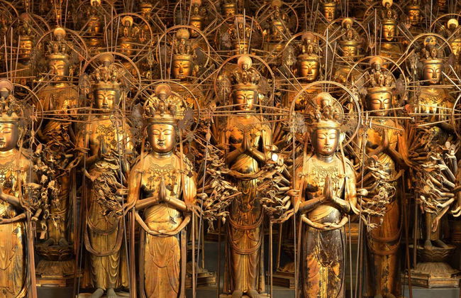 Tour completo por Kyoto com ingressos - Foto 4