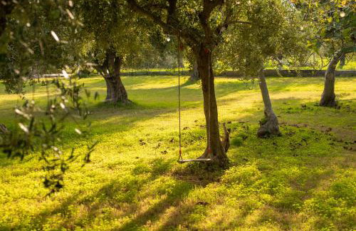 Anastasios Olive Garden Apartments - Foto 79