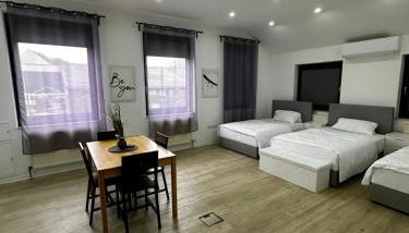 VDM Ferienwohung Pfungstadt - Foto 4