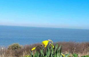 Herne Bay Central - 2 minutes from beach apartment - Foto 41