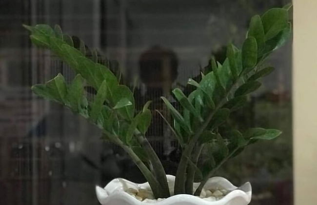 Thada Apartment - Foto 32