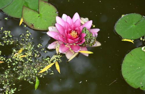 Casa de Suelas - Foto 5