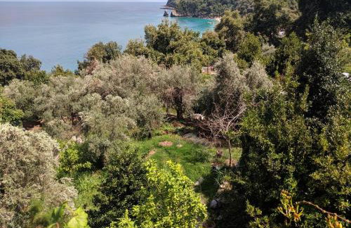 Daria's home at Pelion - Foto 131