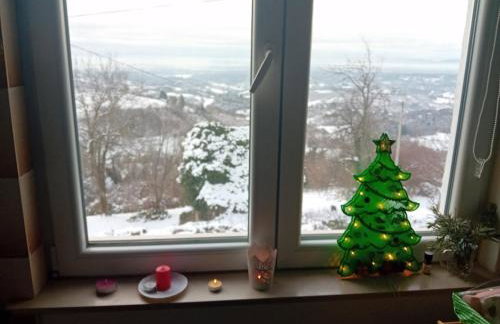 Plesivica Hillside Holiday Home With Hot -tub - Foto 25