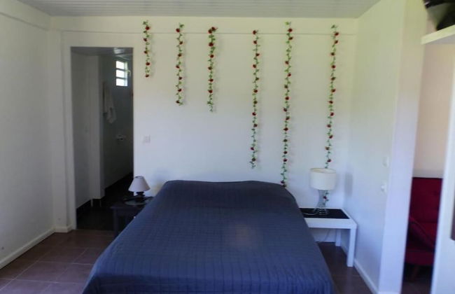 Au Petit Canal Fleuri - Foto 11