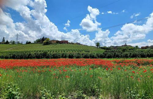 Le Aromatiche, appartamento in cascina con giardino - Foto 11