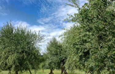 Il Piratello - Agriturismo Baldeschi - Foto 45