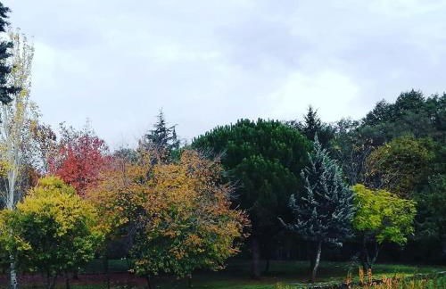 Apartamento Zocailla - Foto 30