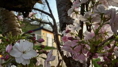 Castle View chalet - Foto 4