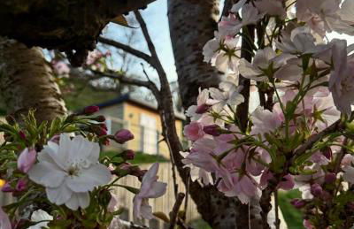 Castle View chalet - Photo 4