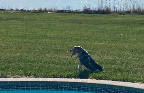 Bay Breeze - Foto 70