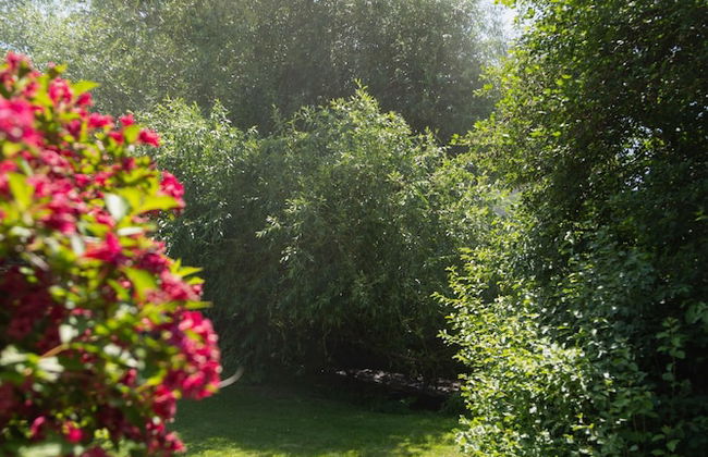 Dt Hot Tub Sauna Huge Yard - Photo 56