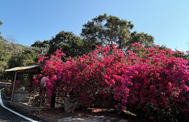 Fong Chou Cottage - Photo 31