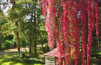 VILLA AM SEE - nähe Berlin - Foto 21