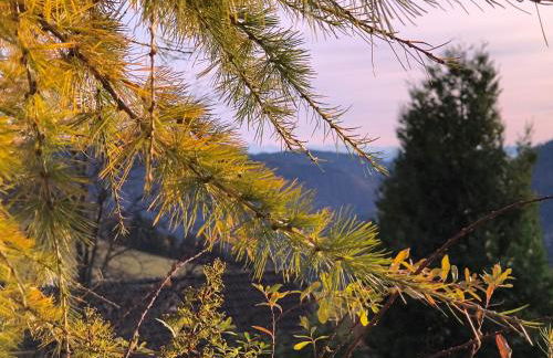 Schöne Aussicht - Foto 19