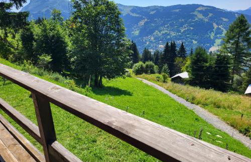 Chalet d'alpage avec vue incroyable - Foto 14