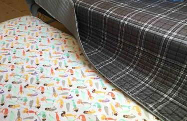 Pacific Coast Highway Milkhouse - Foto 21