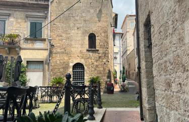 All’ombra del museo - Foto 22