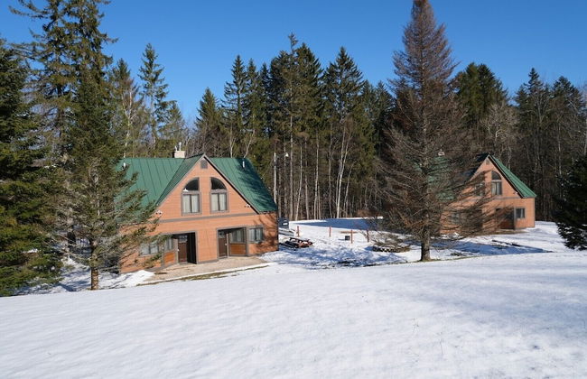 Ski in & out Spruce Glen Townhomes on Great Eastern Trail - Photo 26