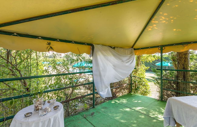 Nice Apartment in Tuoro sul Trasimeno With Pool - Foto 46