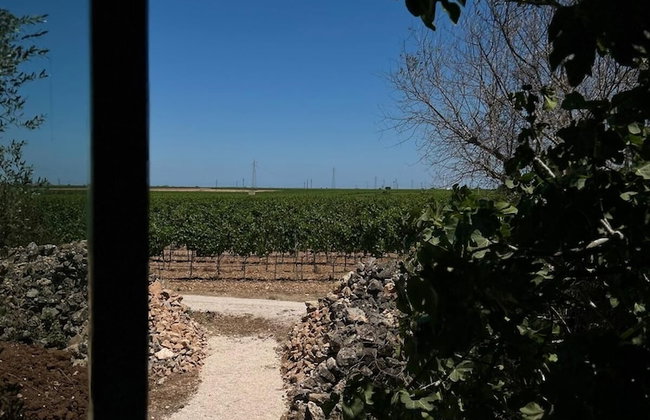 Masseria Li Reni - Foto 131